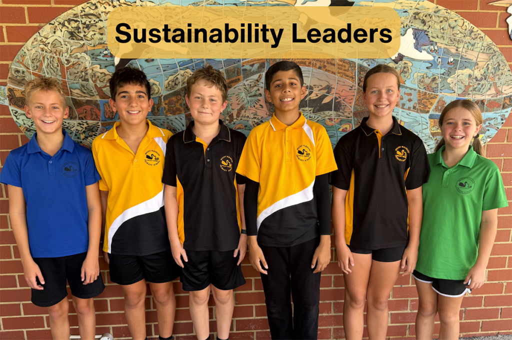 Sustainability Leaders